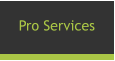 Pro Services
