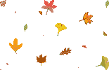 course-falling-leaves-02
